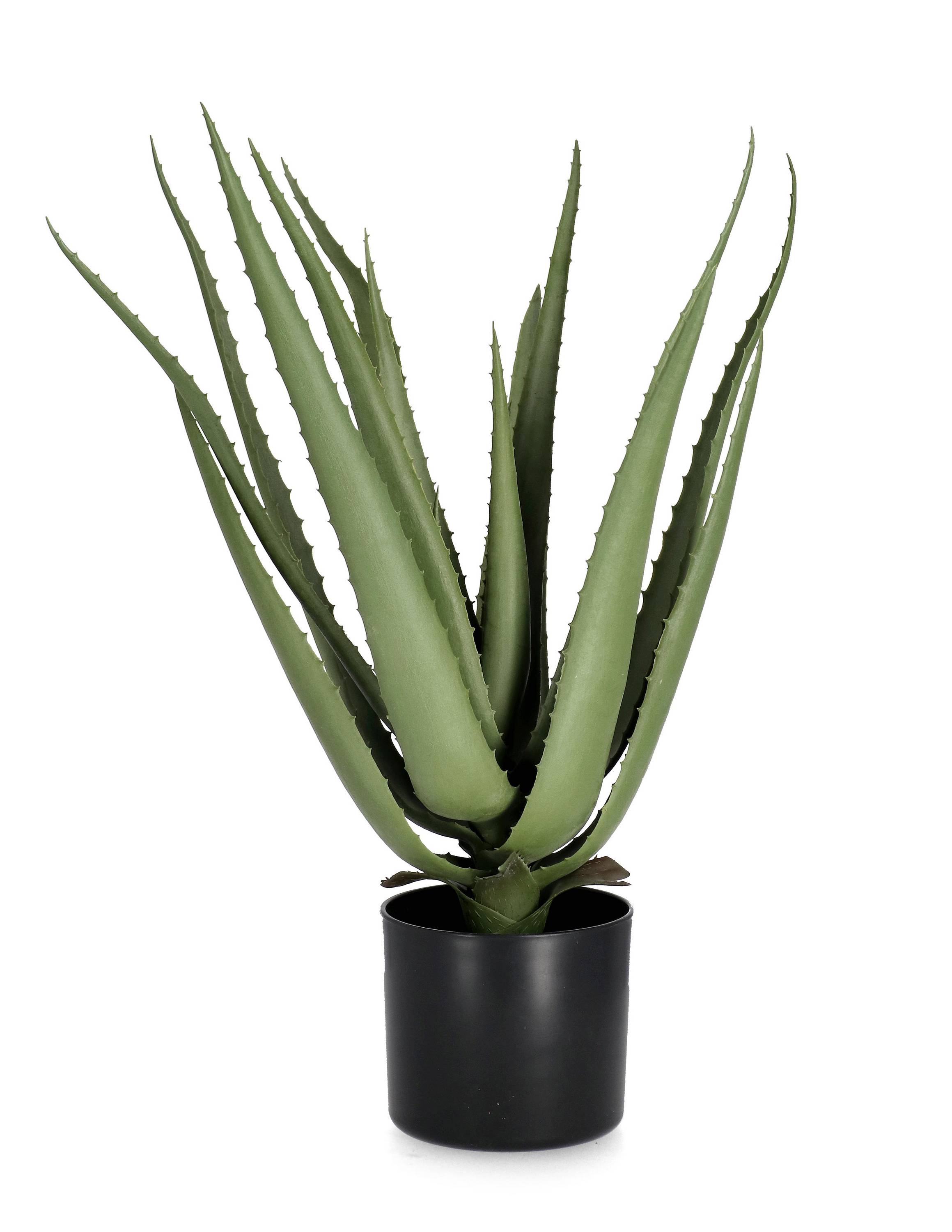 PIANTA ALOE CON VASO H60CM 0170767
