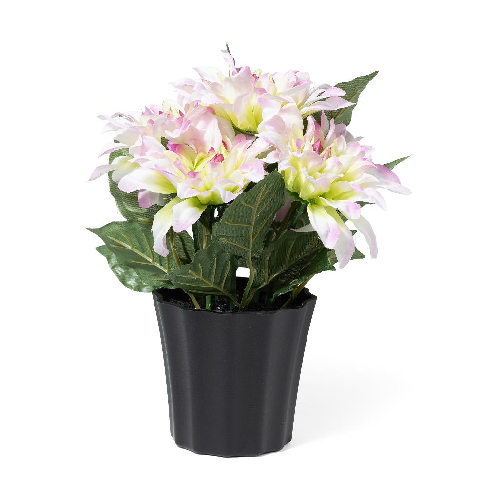 DALIA ROSA IN VASO IN POLIESTERE E PLASTICA 24X24XH.30 cm 34000