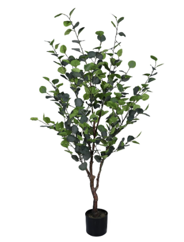 PIANTA EUCALIPTO CON VASO H150 0173042