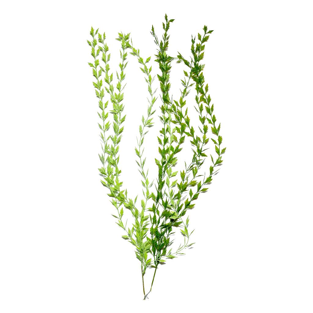 RAMO CADENTE FOGLIE VERDI IN PLASTICA E METALLO H.100 cm 34819