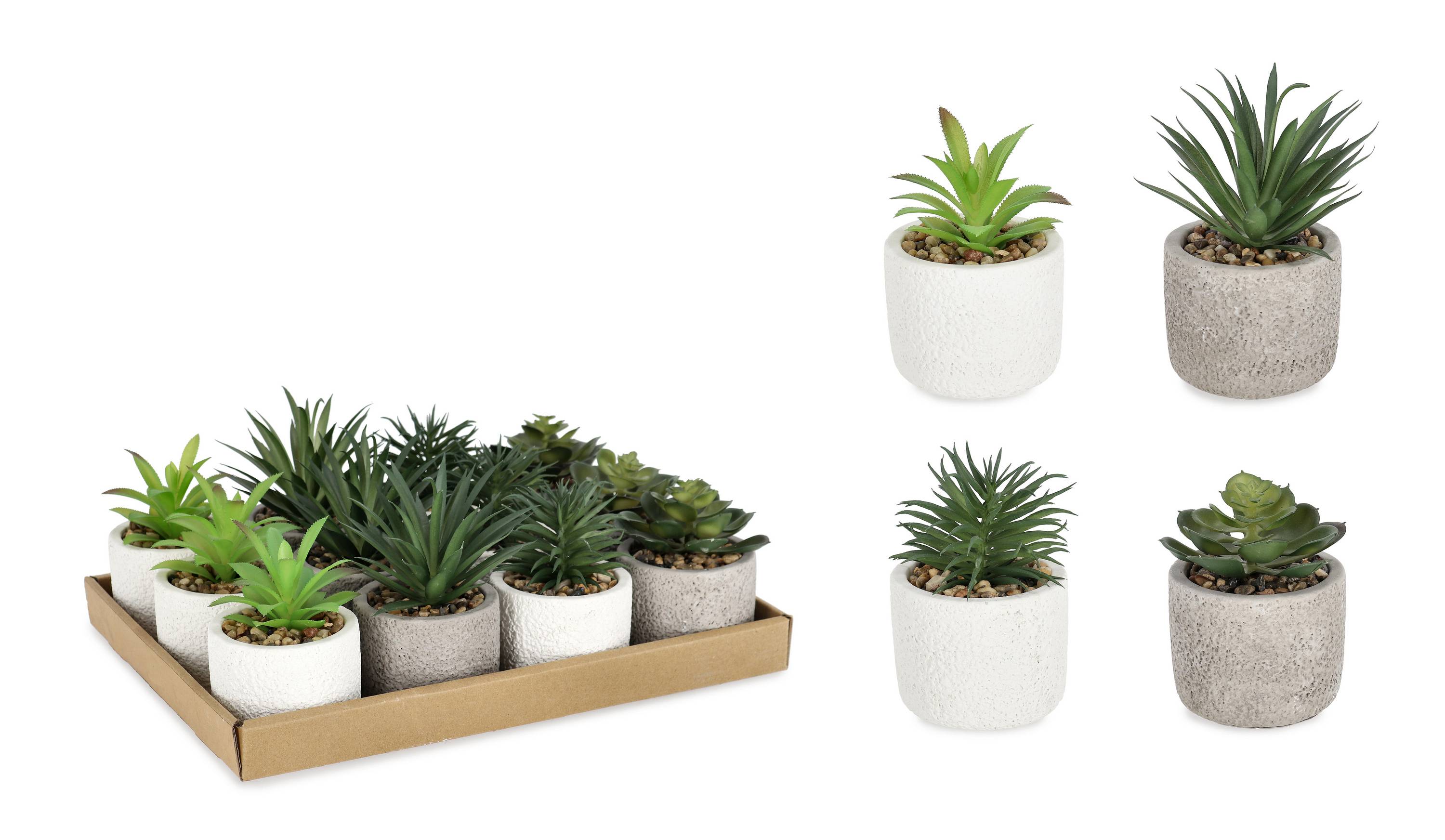 VASO PIANTINA KENIA ASSORTITA 0173181