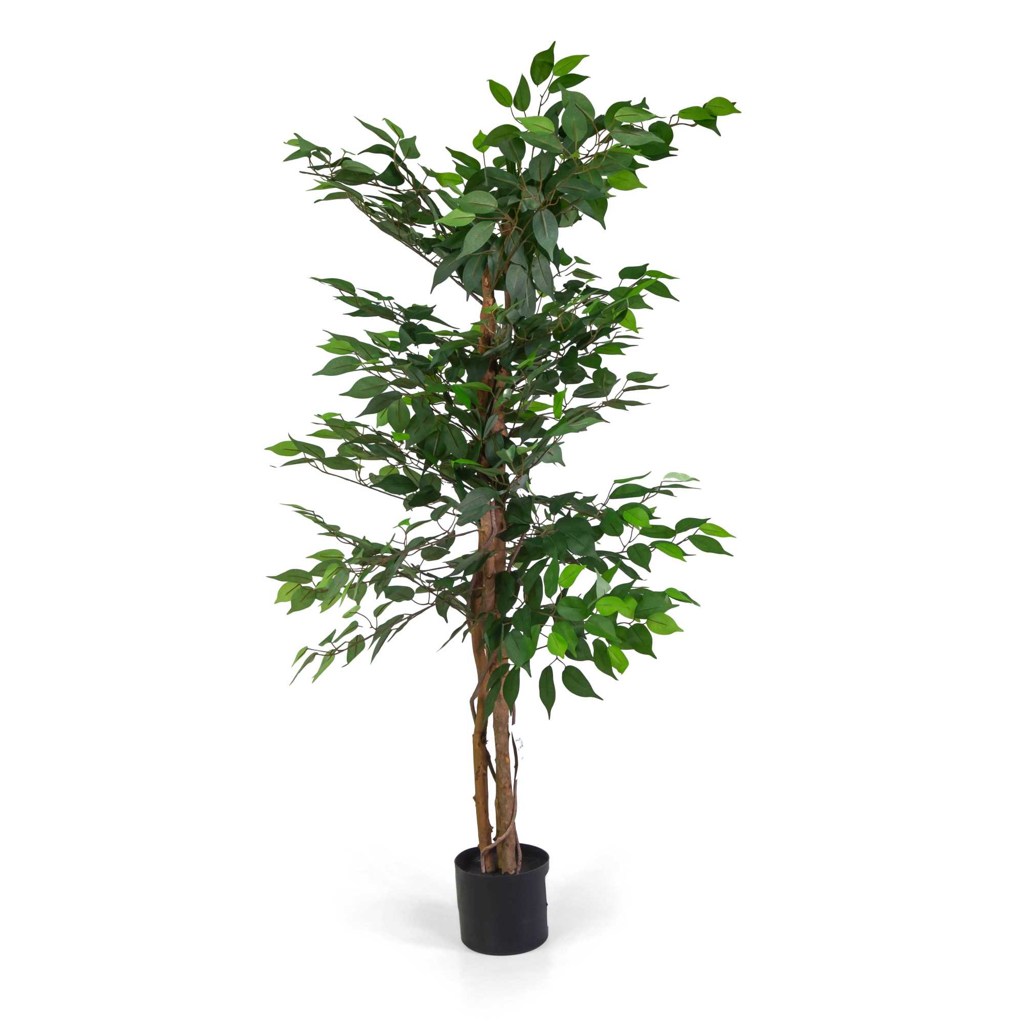 PIANTA ARTIFICIALE FICUS CM H150